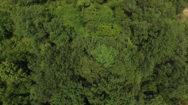 Gruntów na sprzedaż w Czarnogórze. Hotel nad morzem. Miasto Prcan — Wideo stockowe