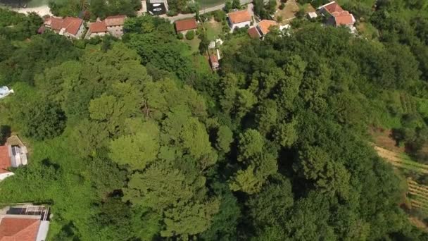 Gruntów na sprzedaż w Czarnogórze. Hotel nad morzem. Miasto Prcan — Wideo stockowe