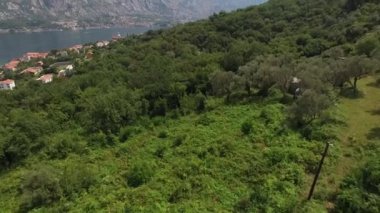 Karadağ'daki Satılık Arsa. Otel deniz kenarında. Prcan şehir