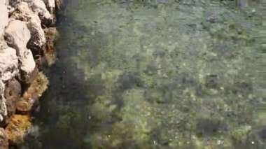 Su doku. Karadağ yakınından Adriyatik Denizi. Șeffaf mavi