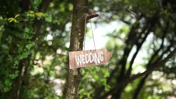 The tablet Wedding on an olive tree. Wedding decorations. — Stock Video