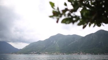 Yağmur altında bir ağaç yaprakları. Bahar yağmur Karadağ
