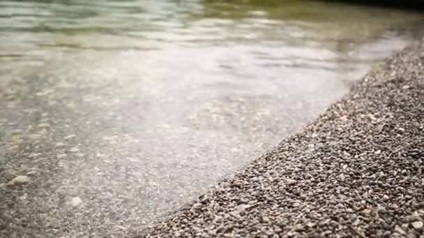 Kieselsteine am Strand. Textur der Meeresküste. das adriatische Meer — Stockvideo