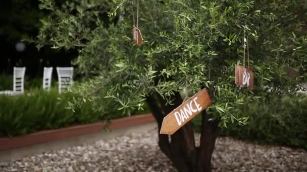 De tablet "Dance" op een olijfboom. Huwelijksdecoratie. — Stockvideo