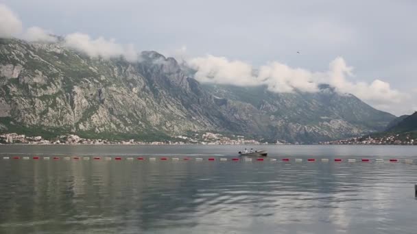 Ships and boats in Bay of Kotor in Montenegro — Stock Video