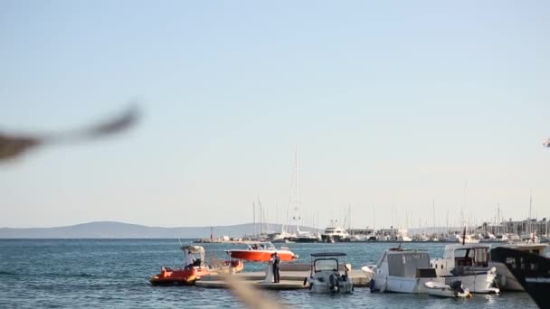 Bărci pe un andoc cu barca în Split — Videoclip de stoc