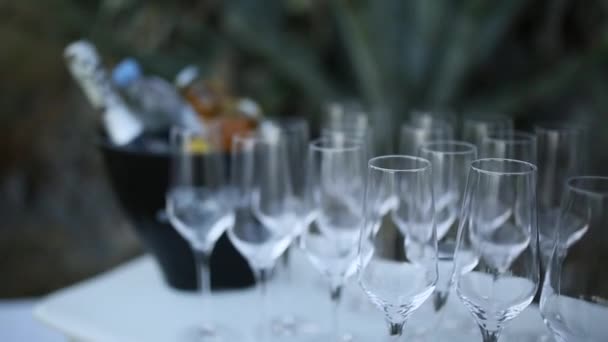 Sklenice šampaňského na recepci — Stock video