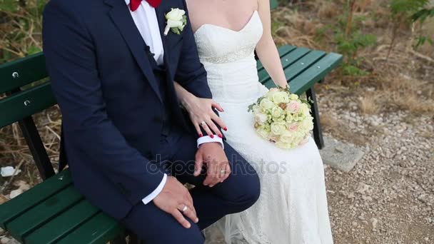 Bride and groom holding hands — Stock Video