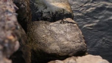 Karadağ'daki deniz buzlu. Kayalık sahil. Vahşi plaj. Dangero