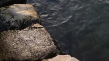 Karadağ'daki deniz buzlu. Kayalık sahil. Vahşi plaj. Dangero