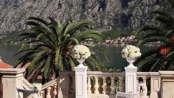 De bloemen van de Hortensia in een pot. Huwelijksdecoratie in Montenegro — Stockvideo