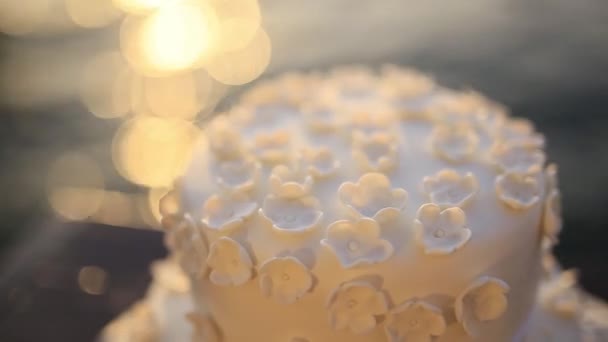 Un gâteau de mariage sur la plage. Éblouissement du soleil sur l'eau. M. Weddin — Video