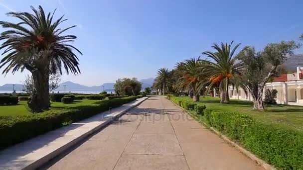 Η επικράτεια του πάρκου Sveti Stefan μπροστά από το νησί. M — Αρχείο Βίντεο