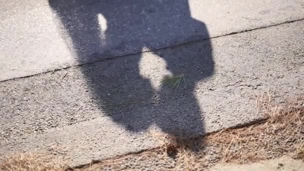 The shadow of the couple on the floor. Silhouette of the shadow — Stock Video