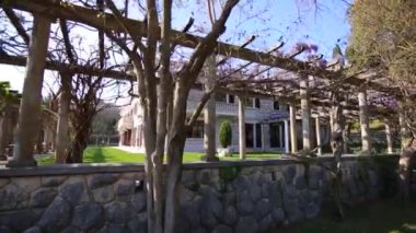 Çiçekli ağaç wisteria Karadağ, Adriyatik ve inat