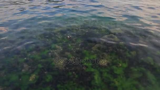 水の質感。アドリア海モンテネグロに近い。透明な青 — ストック動画