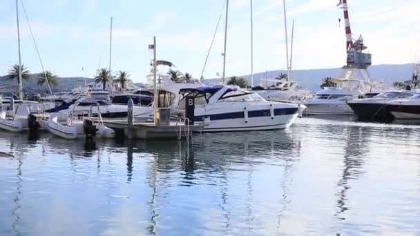 Jacht Porto Montenegro. Elite gebied van Tivat in Montenegro — Stockvideo