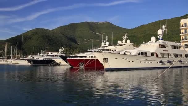 Jacht Porto Montenegro. Elite gebied van Tivat in Montenegro — Stockvideo