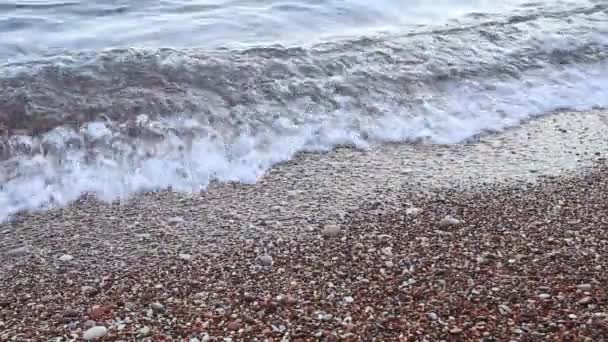 Stenar på stranden. Konsistens av havet. Adriatiska havet — Stockvideo