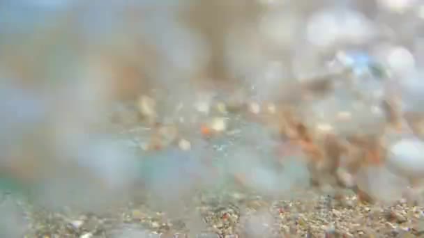 Fotografía submarina, se puede ver la playa. La costa del mar de — Vídeos de Stock