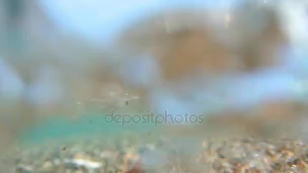 Fotografia subaquática, você pode ver a praia. A costa do mar de — Vídeo de Stock