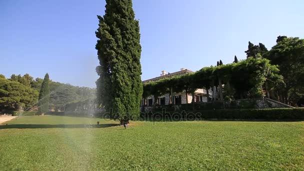 Arrosage automatique des pelouses. Pulvérisateur d'herbe. Pelouse verte à la Villa M — Video