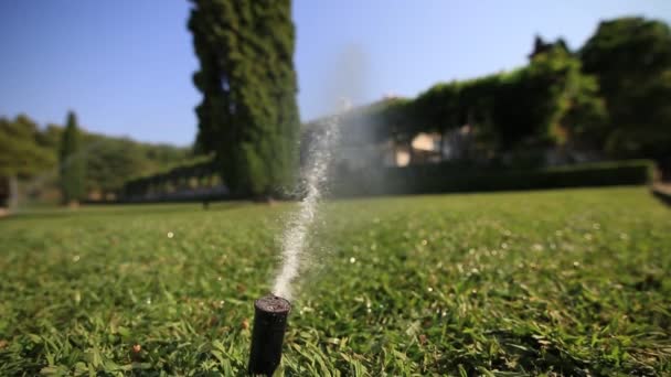 自动草坪浇水。喷头的草。绿色的草坪，在别墅 M — 图库视频影像