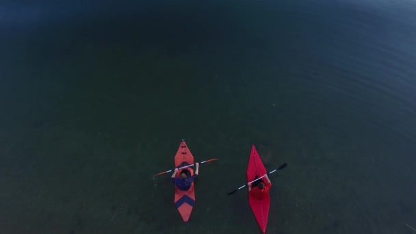 モンテネグロのシュコダル湖でカヤック。観光カヤックします。空中のフォー — ストック動画