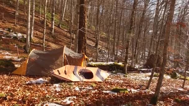 Tienda y kayak en el bosque. Bosque de invierno en Montenegro, Natio — Vídeos de Stock