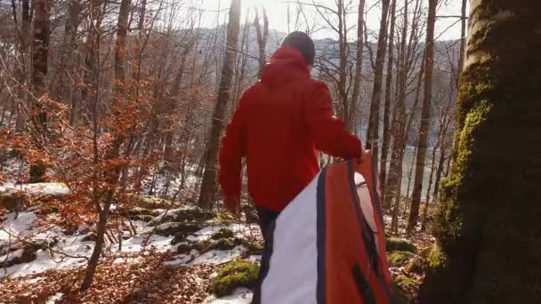 Touristin trägt Kajak zum Wasser im Wald. — Stockvideo