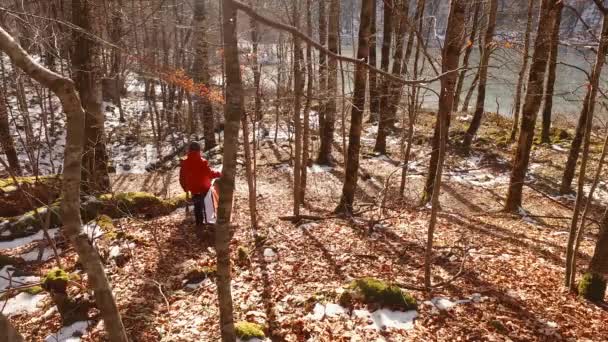 Turista lleva el kayak al agua en el bosque . — Vídeos de Stock