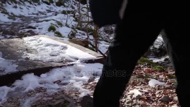 숲 속을 산책 하는 관광객의 다리입니다. 눈 덮인 숲에는 — 비디오