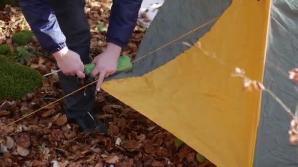 Turist yükleme na karlı ormanda çadır koyar — Stok video