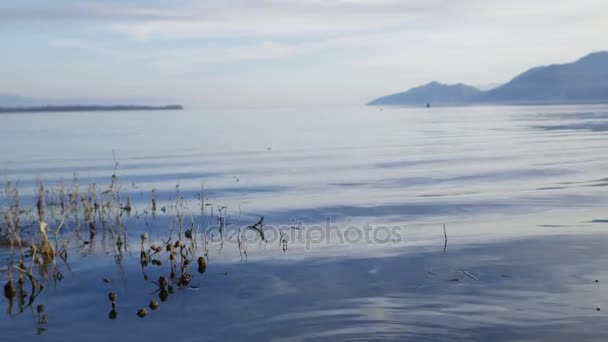 Skadar-tó Montenegróban. A legnagyobb édesvízi tava, a ba — Stock videók
