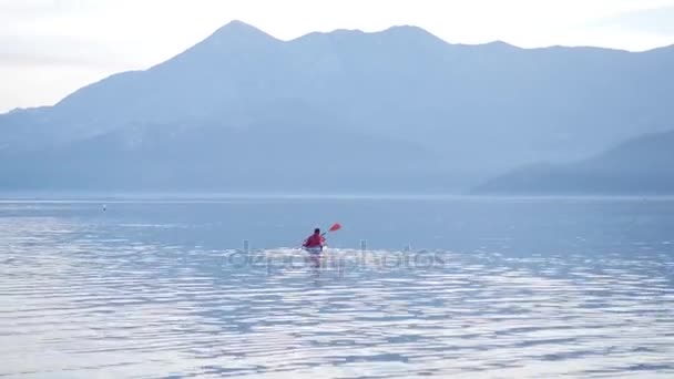 モンテネグロのシュコダル湖でカヤック。観光カヤックします。空中のフォー — ストック動画