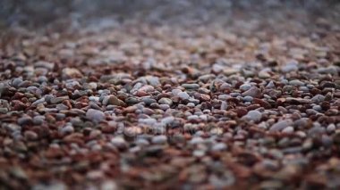 Çakıl plaj. Doku deniz kıyı. Adriyatik Denizi