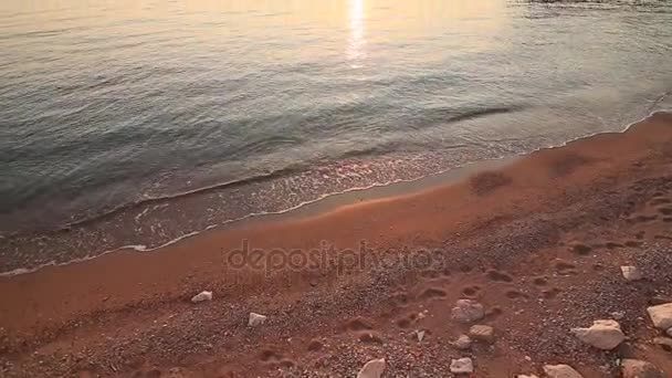Камушек на пляже. Текстура морского берега. Адриатическое море — стоковое видео