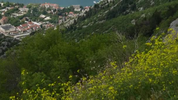 Στον κόλπο του Κότορ από τα ύψη. Θέα από το όρος Lovcen στον κόλπο — Αρχείο Βίντεο