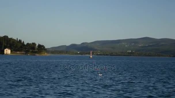 Halbinsel Lustica in Montenegro an der Küste des Meeres — Stockvideo