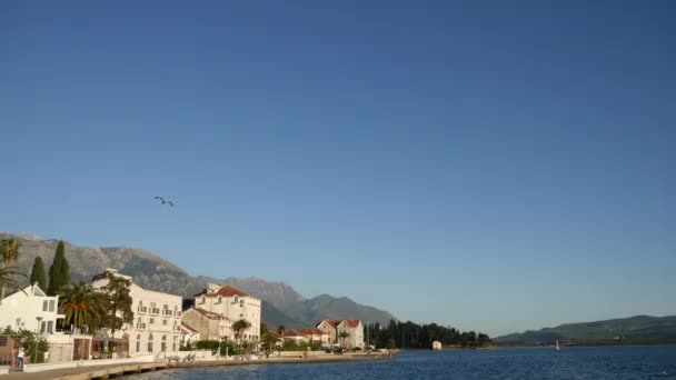 Waterfront Tivat, Karadağ. Kotor Körfezi — Stok video