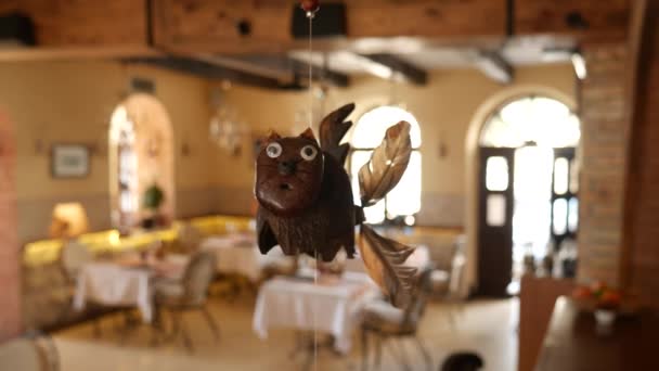 Interior Design cafe. Cat with a propeller at the rear — Stock Video