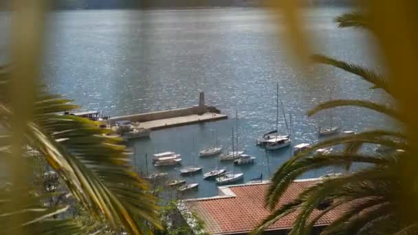 Quai de bateau Herceg Novi, Vieille ville, Monténégro — Video