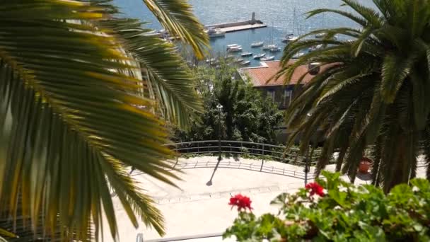 Herceg novi boat dock, altstadt, montenegro — Stockvideo