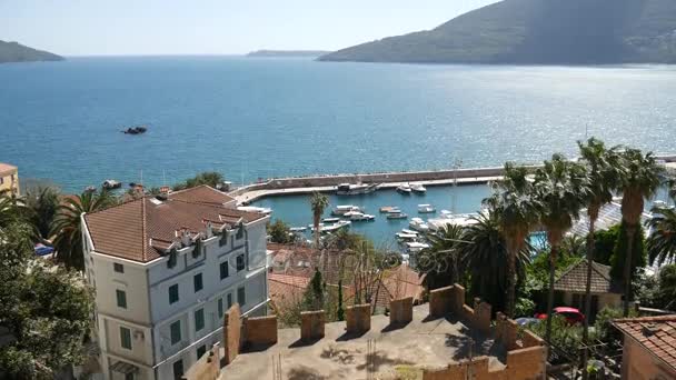 Herceg Novi tekne rıhtım, Old Town, Karadağ — Stok video