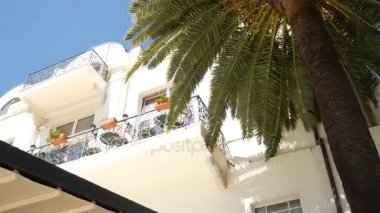 Bir büyük beyaz çok katlı Emlak palmiye ağaçları. Herceg Novi, Pzt