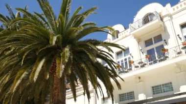 Bir büyük beyaz çok katlı Emlak palmiye ağaçları. Herceg Novi, Pzt