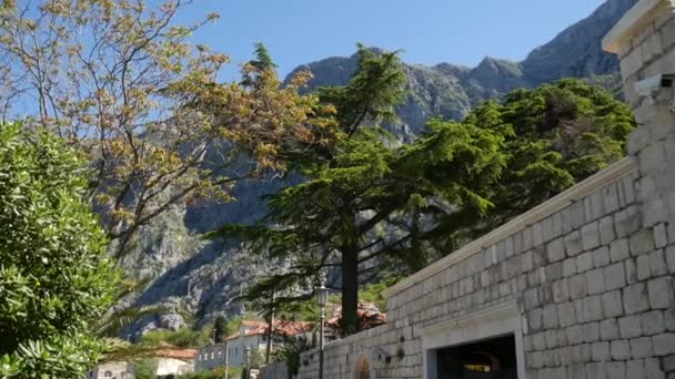 Village de Ljuta dans la baie de Kotor, au Monténégro — Video