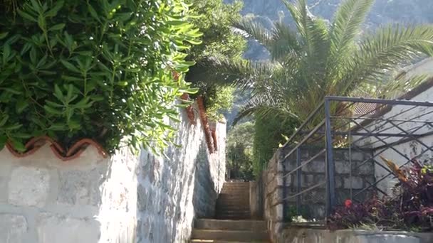 Kamenné schody v Černé hoře, v parku Milocer, Sveti Stefan. — Stock video
