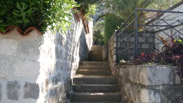 Escaliers en pierre au Monténégro, dans le parc Milocer, Sveti Stefan . — Video