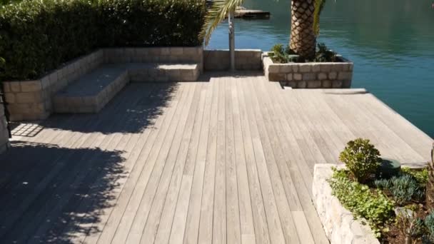 Palmen auf den Docks in der Bucht von Kotor — Stockvideo